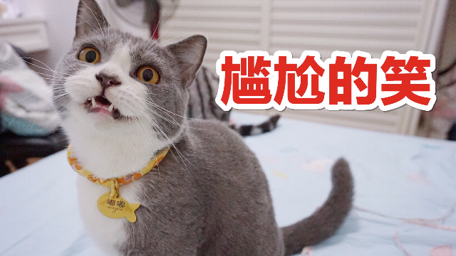 喵星人向小姐姐撒娇求撩失败后，场面一度尴尬！