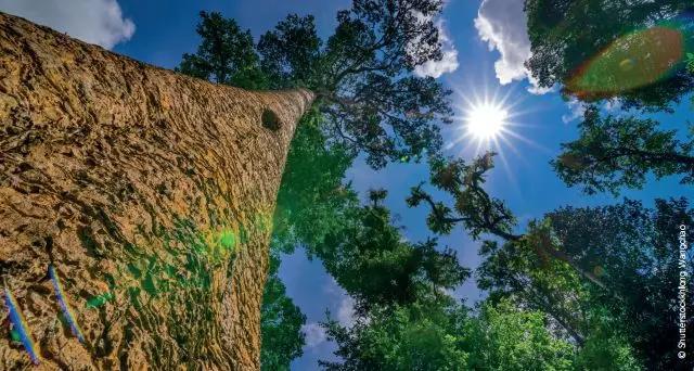 高gdp国家带来影响的实例(3)