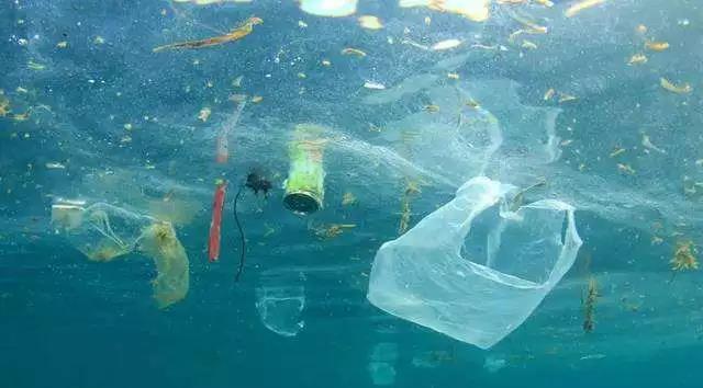 海洋:塑料垃圾进入海洋最深处