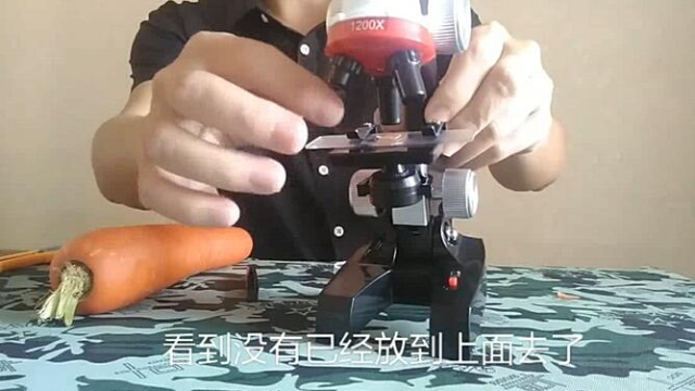小伙显微镜放大1200倍看胡萝卜，细胞清晰可见大自然太神奇