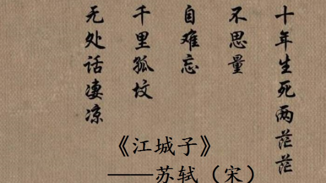 诗词出处系列：十年生死两茫茫，不思量，自难忘。《江城子》