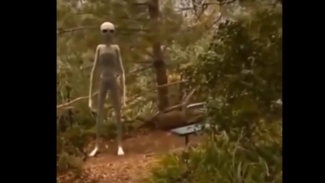 男子无意中遭遇UFO外星人被拍到_凤凰网视频_凤凰网