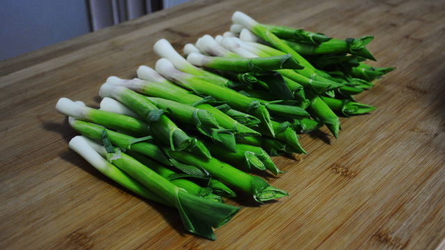 蒜苗新吃法，一次做几斤，开胃解腻，比大鱼大肉都好吃，值得收藏