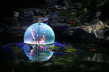 夜明珠风水球鱼缸