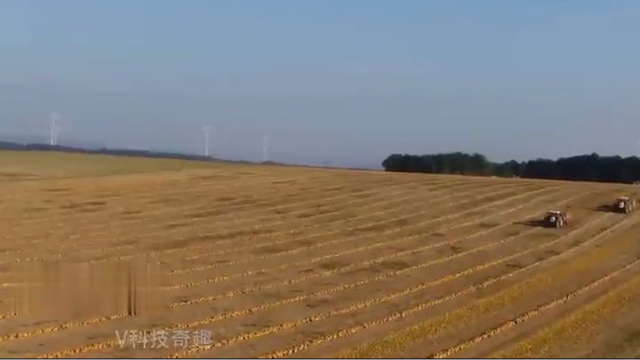 这南瓜收割机作业效率真高，是人工的20倍，农民看了乐凯了花！