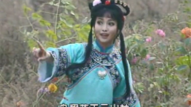王红丽《风雨行宫》中活泼可爱，年轻时这么美，不愧豫剧小皇后