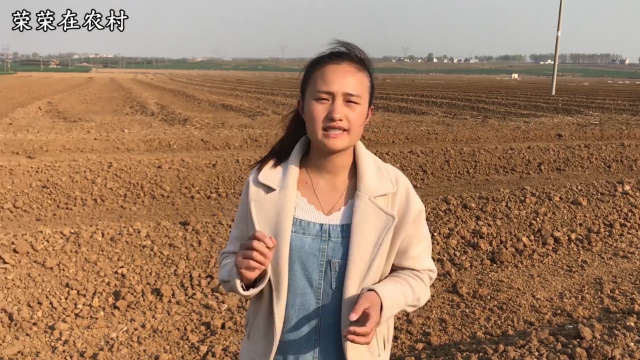 农村10年后最缺的是什么人？是男人还是女人？听姑娘咋说