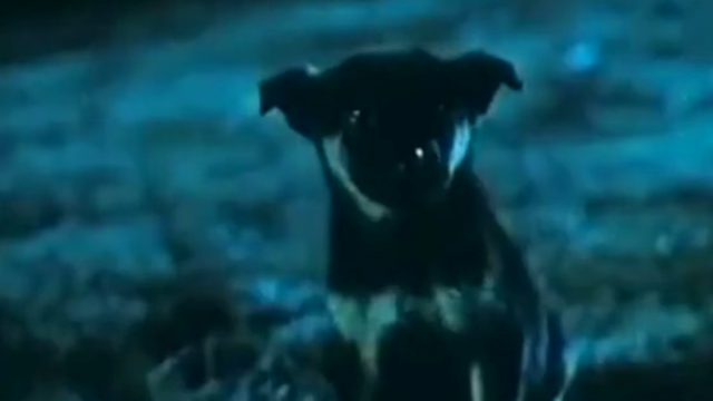 道士施法让自己灵魂出窍去干坏事，被林正英徒弟狠狠教训了一顿.