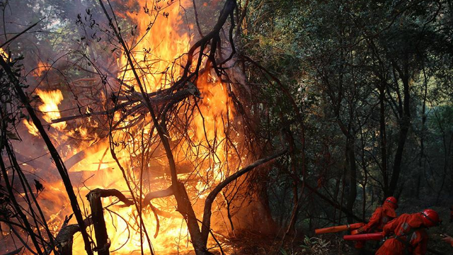四川凉山森林火灾造成30名救援人员遇难！长歌当哭，英灵永存