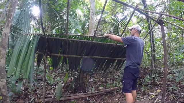 亚马逊雨林生存，如何搭建简易庇护所，户外生存必备技能！