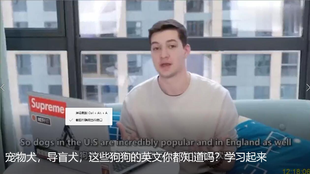 宠物犬，导盲犬，这些狗狗的英文你都知道吗？学习起来.