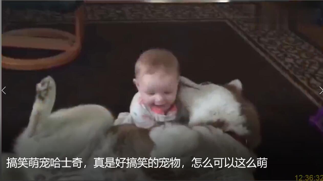 搞笑萌宝与萌宠的有趣画面，宠物的陪伴给宝宝带来了很多的快乐