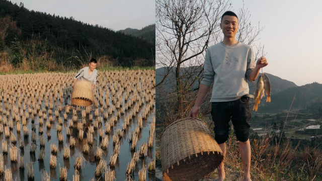 贵州发现神奇稻田，鱼儿一年四季抓不尽，原来这田里藏着这个秘密