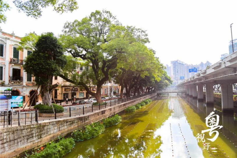 “黑色情人节”来了！广东这些旅游景点最适合单身贵族说走就走了