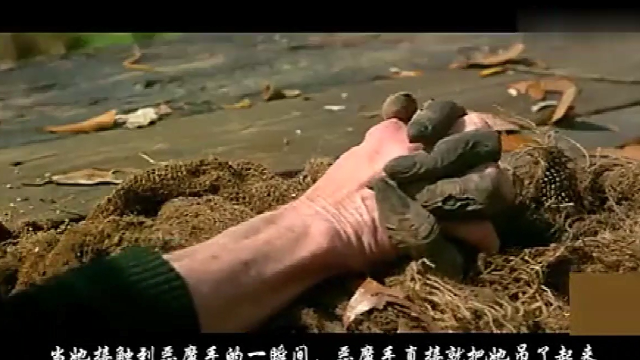 惊心食人族3电影解说,恶魔苏醒要杀了这里的所