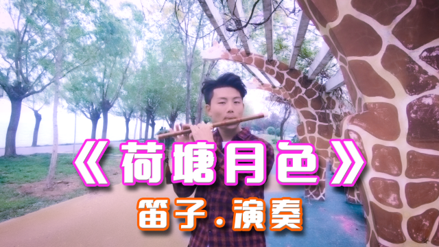 小伙笛子吹一曲《荷塘月色》，太好听了，果断收藏为铃声！