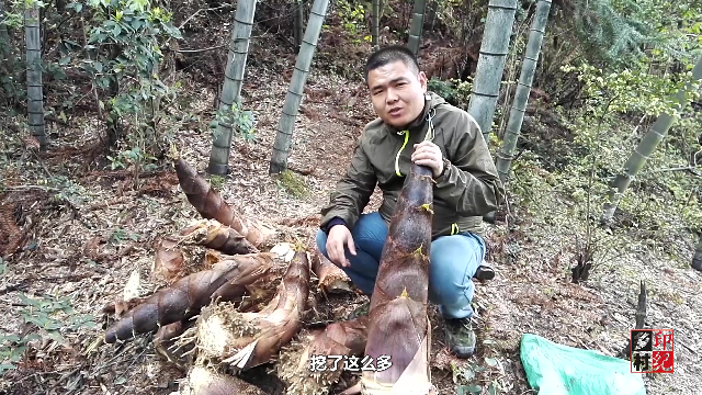 竹笋剥壳有绝招，农村小伙只需一刀就能剥好，还说春笋比冬笋难挖
