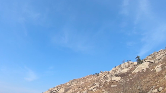 山东临沂的一座山有座山雕，小伙带着小狗爬到山顶，差点被攻击