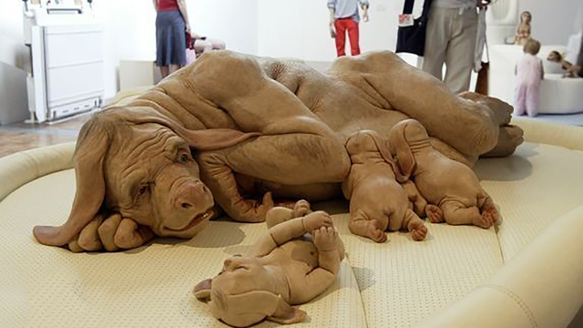 日本养殖半人半猪，总共17头！每只猪体内都有着人类的器官？