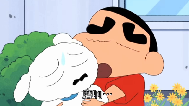 蜡笔小新第五季：小新是演技派，对小白的爱都是装出来的