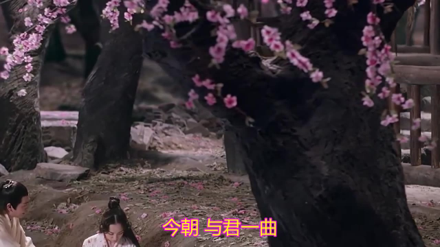 一首伤感音乐MV《将进酒》伤感的情绪,好听的