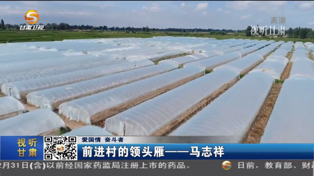 前进村的领头雁——马志祥