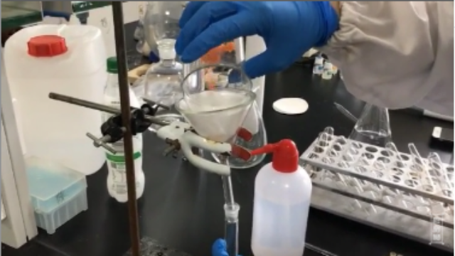 胡萝卜的农药残留检测实验 | 检测狮