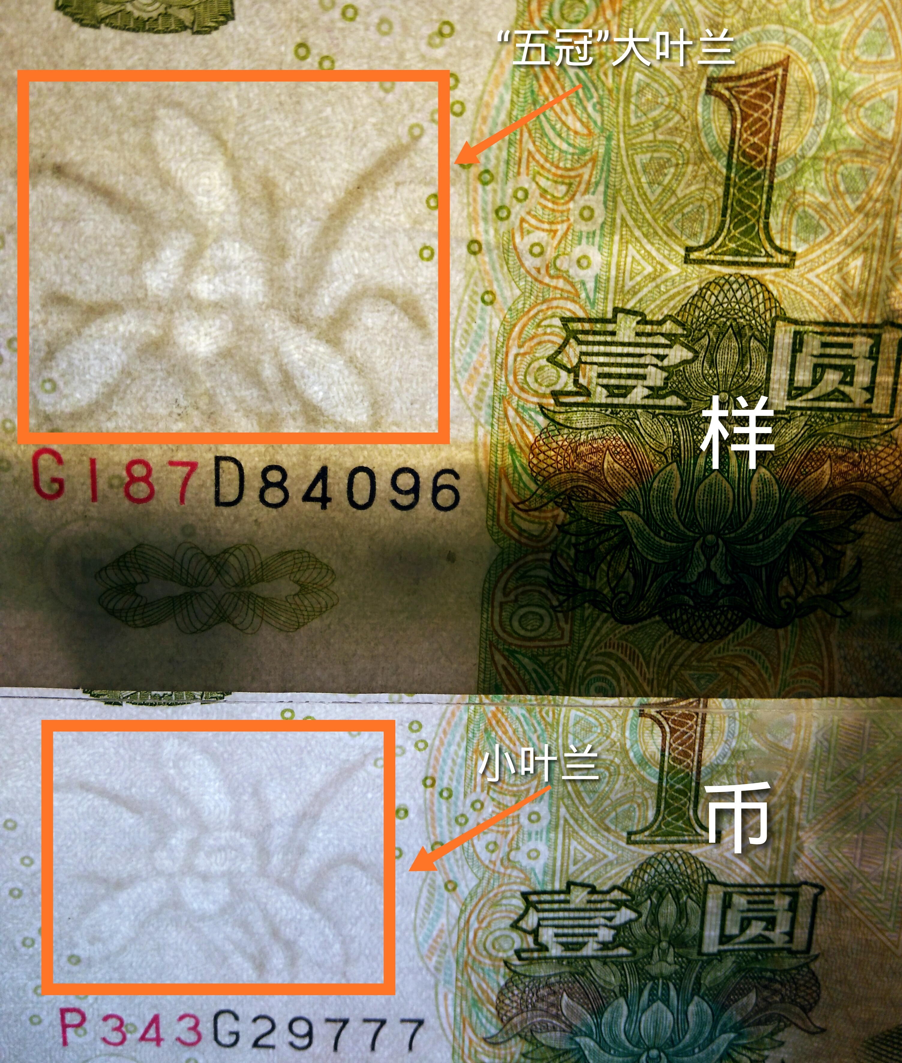 "新币王:人民币(1999版)1元券之"超级大叶兰"诞生记