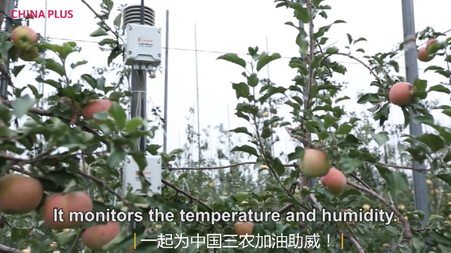 智慧农业正大步向我们走来：分享物联网技术在中国农场的实际运用