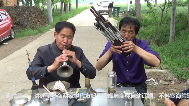 河南豫剧秦雪梅吊孝哭灵,河南豫剧秦雪梅吊孝哭灵龙儿演唱带字