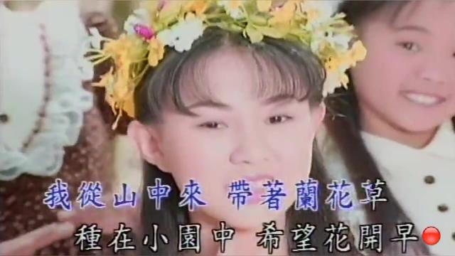 兰花草，卓依婷，美好回忆，经典歌曲，优美动听，百听不厌