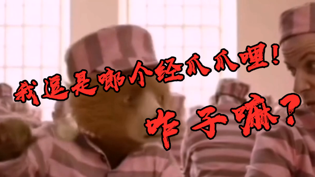 搞笑方言：帕丁顿熊重庆话配音版，真是太好笑了！