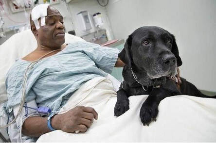 null