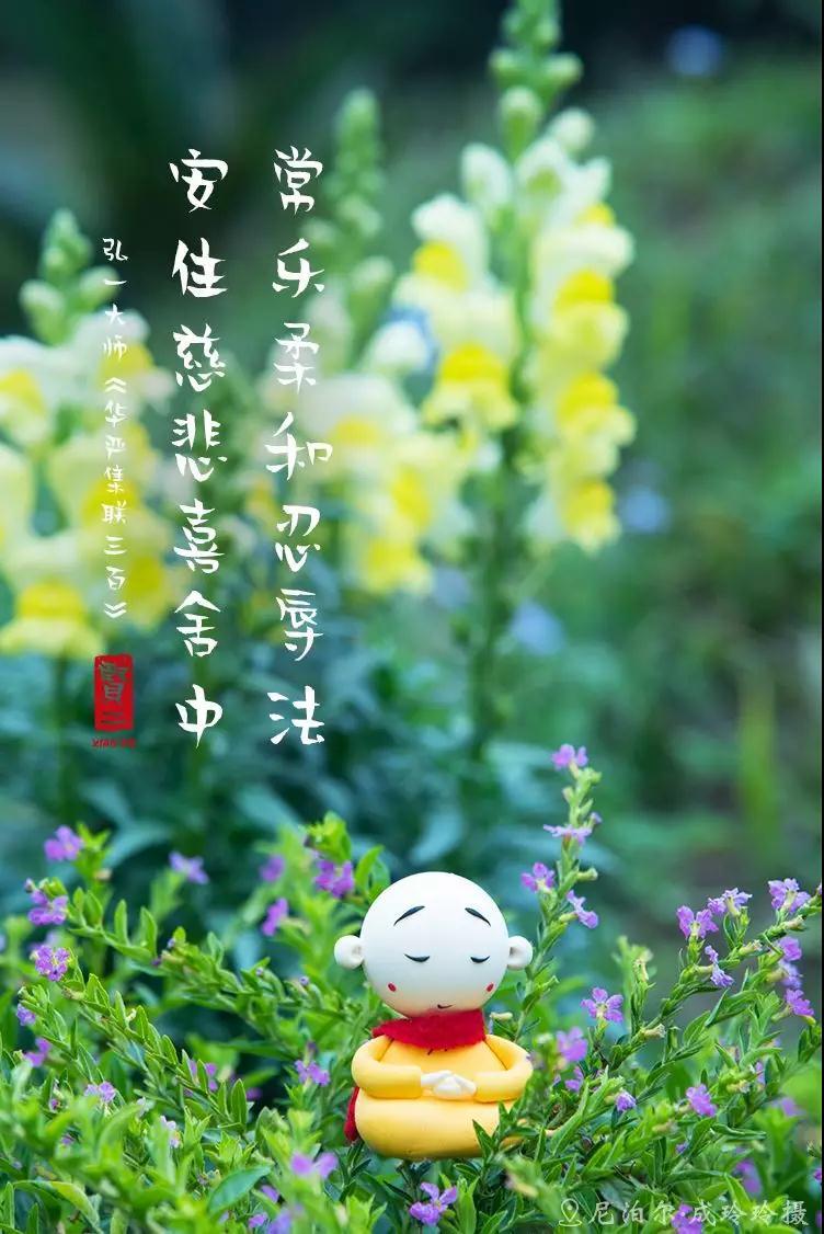 【贤二美图福利】人生如逆旅,我亦是行人
