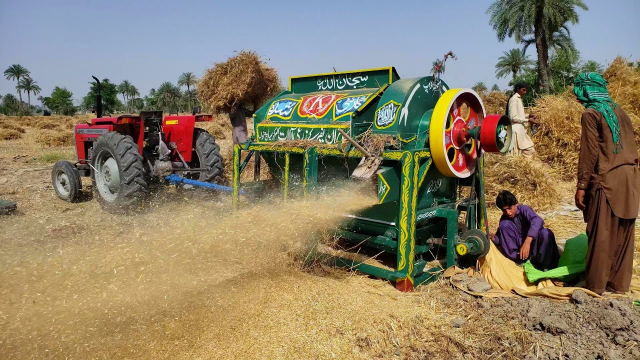 巴基斯坦农村收割小麦，这脱粒机确实有点落伍，操作起来有点累