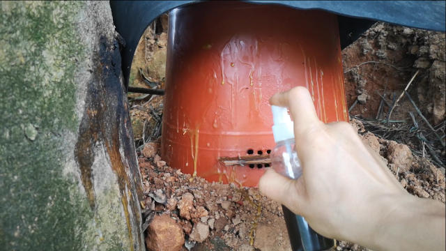 网店卖的诱蜂水真的能诱到蜜蜂吗？村夫买了一瓶试试