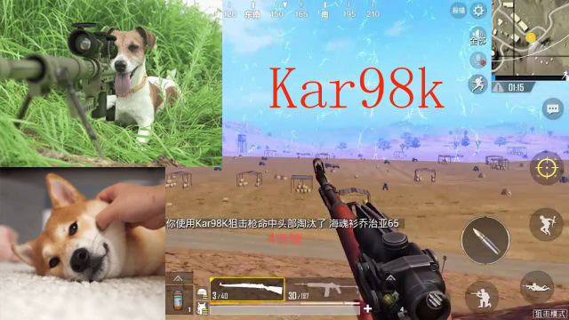 和平精英：千里狙击手摇摆哥，98k子弹一发入魂！