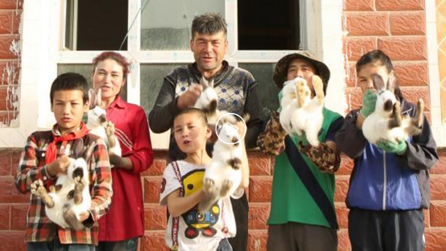 河南农民教他的新疆兄弟养兔脱贫致富