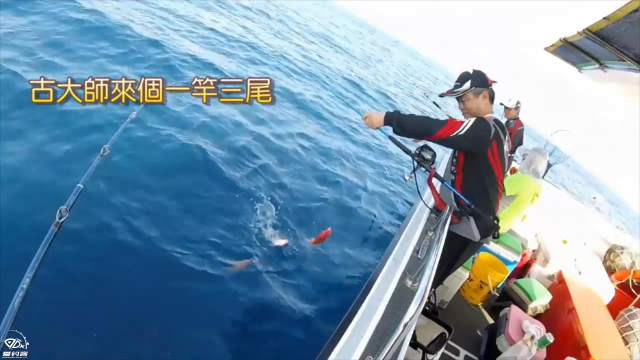出船钓鱼咬况真不错钓鱼人频频上鱼
