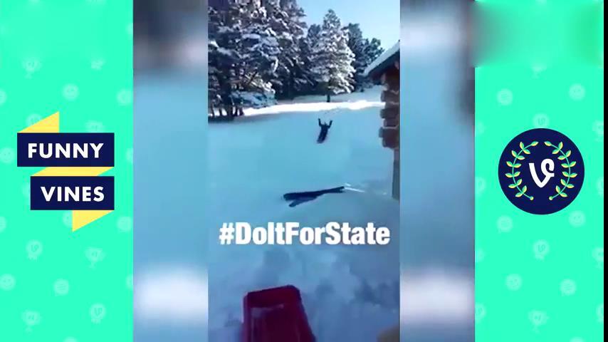 国外各种逗逼搞笑视频锦集，让人看了笑的肚子疼