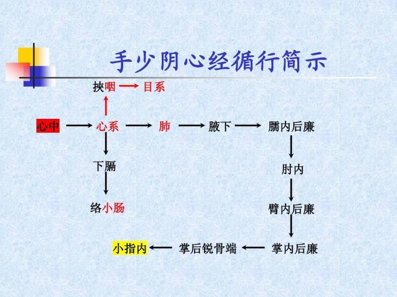 王国之路第二季
