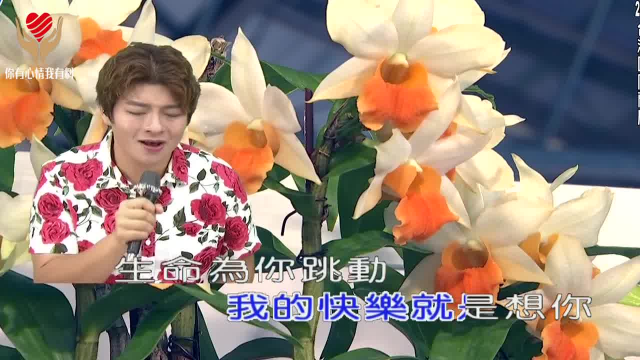 带你一起听好歌 翻唱流行歌曲 我的快乐就是想你