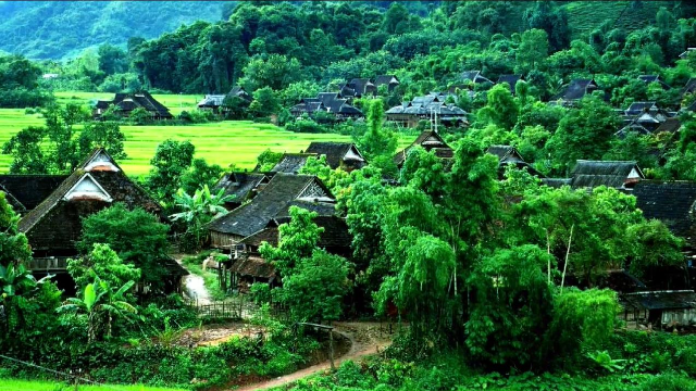 葫芦丝《金孔雀轻轻跳》教学示范