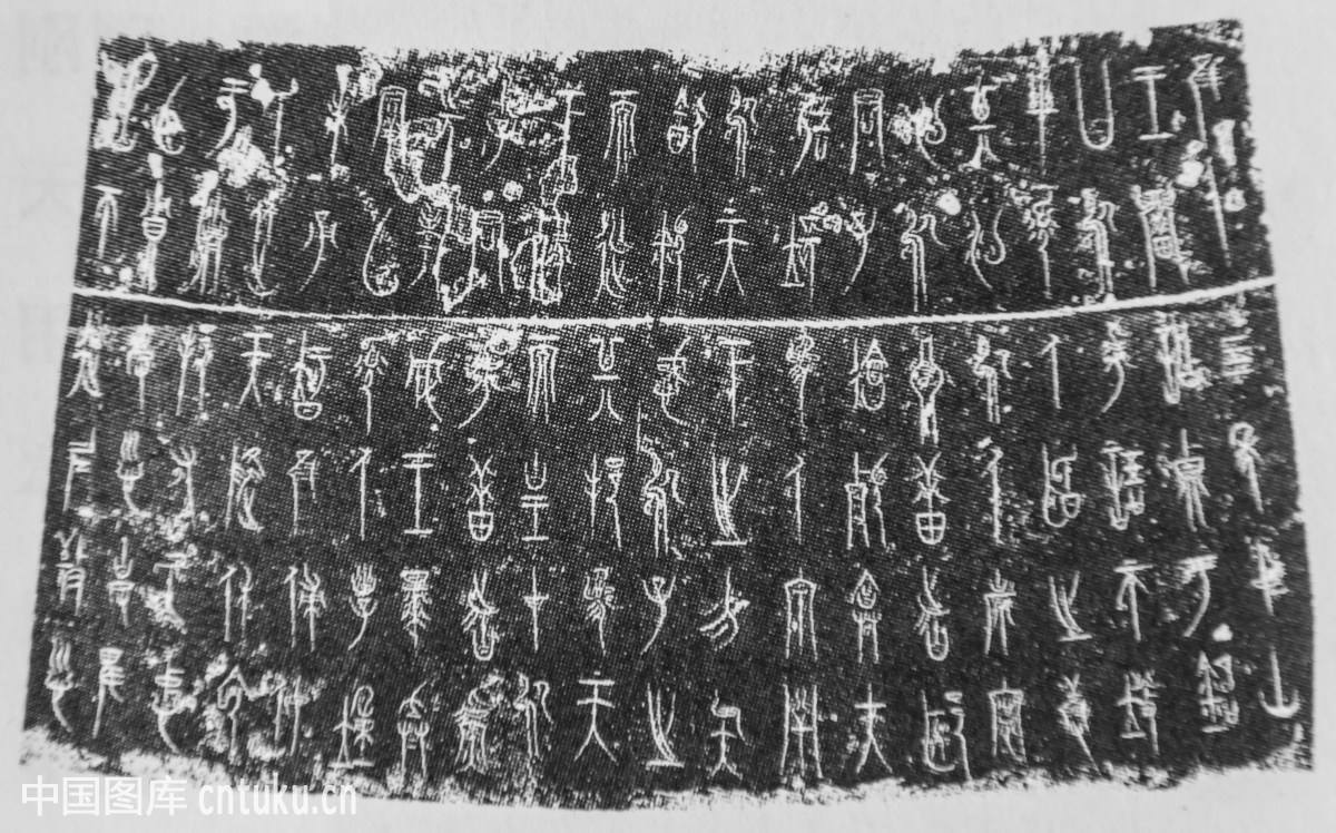 日本の古代豪族 発掘・研究最前線 (TJMOOK) | 瀧音 能之 |本