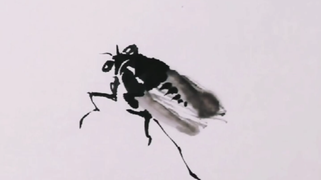 国画小课堂，教你几笔画出一只夏蝉，夏季的感觉扑面而来