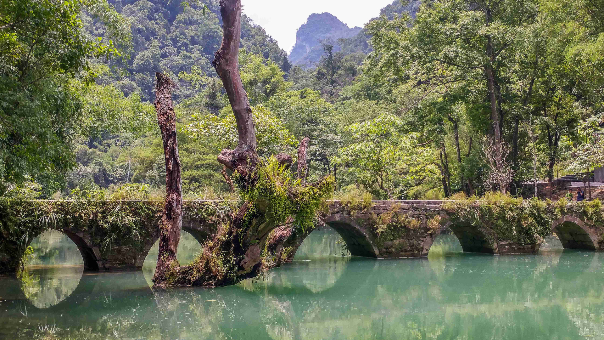 老年人退休后最适合去贵州旅游，风景优美，还不要门票