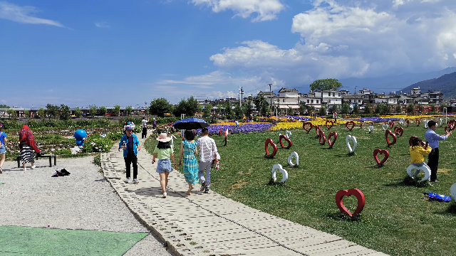 大理苍山洱海之间喜洲花语牧场花海2