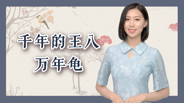 农村俗语“千年的王八万年龟”是什么意思？后半句更是有深意