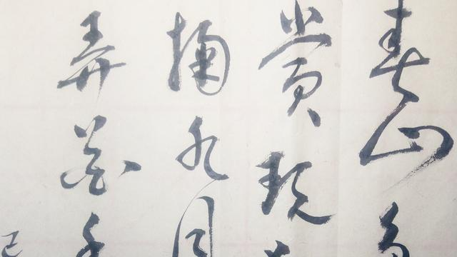 草书:春山多胜事,赏玩夜忘归.掬水月在手,弄花香满衣