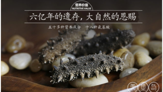 营养又健康的海参饺子做法